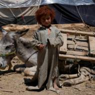 Afghanistan Earthquake