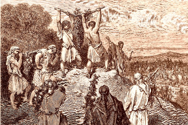 Biblical Spies