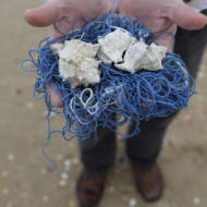 tzitzit