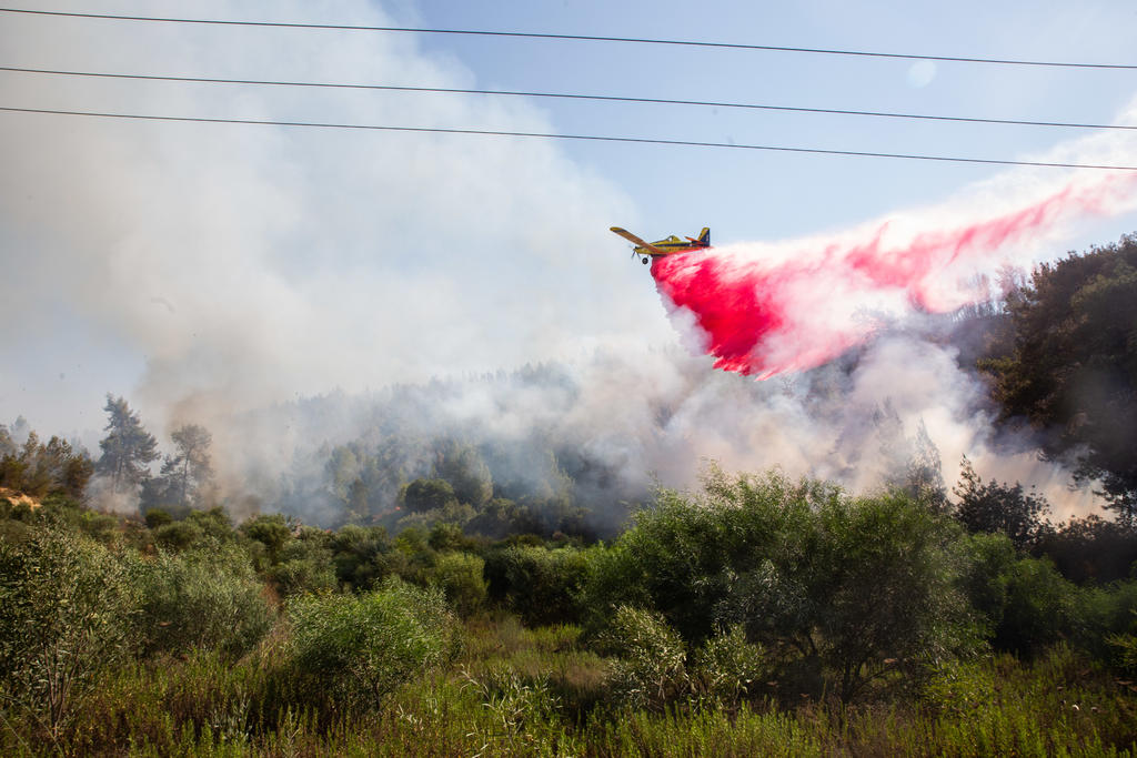 Fire in Jerusalem Region