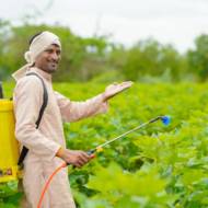 Pesticide Farmer Agriculture
