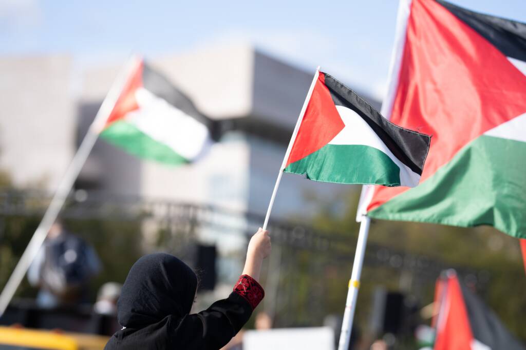 Palestine flags