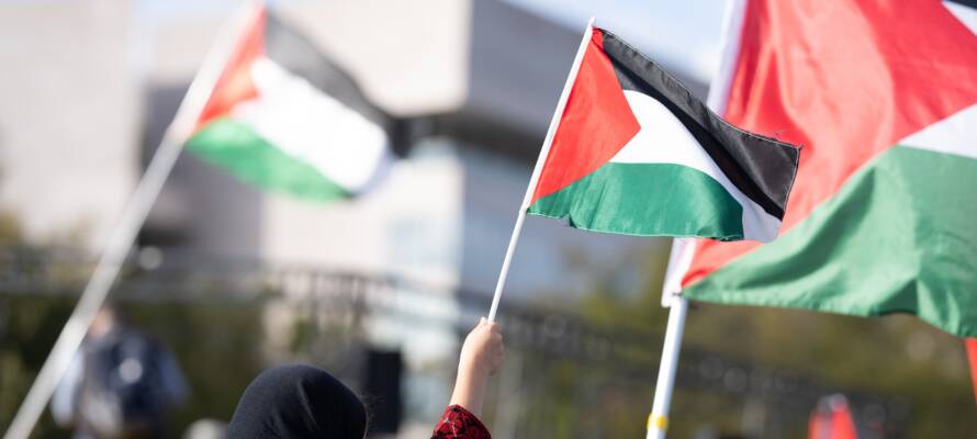 Palestine flags