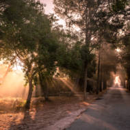 Mount Tabor