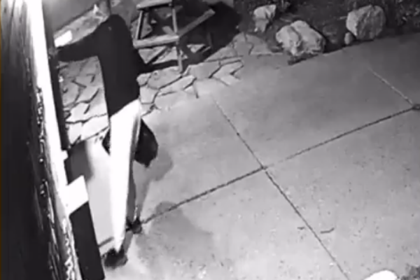 Toronto Synagogue Vandal