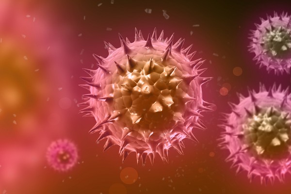 coronavirus
