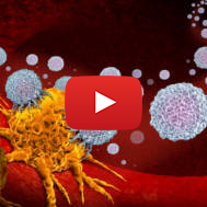 Cancer Cells