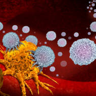 Cancer Cells