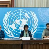 UN Commission of Inquiry)
