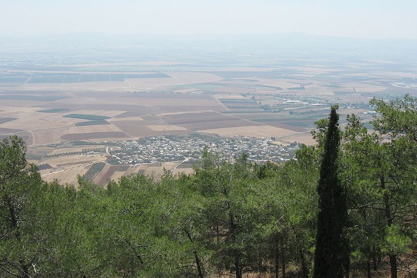 Fields of Shunam