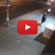 Antisemitism Attack