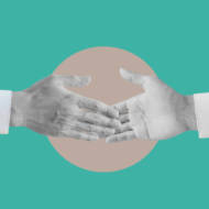 peace partners