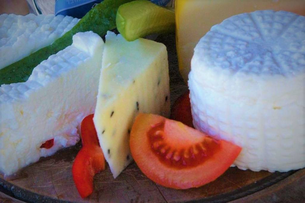 Dairy