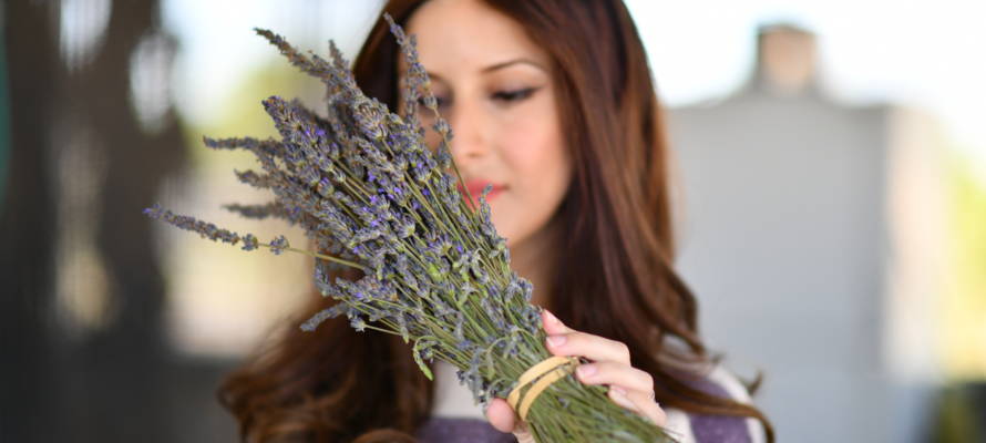 lavender in the Golan Heights