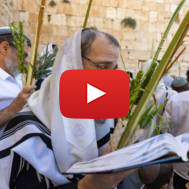 Priestly Blessing