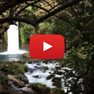 Banias
