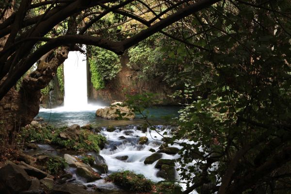 Banias