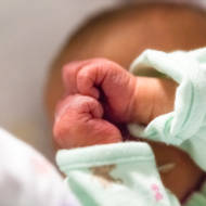 infant