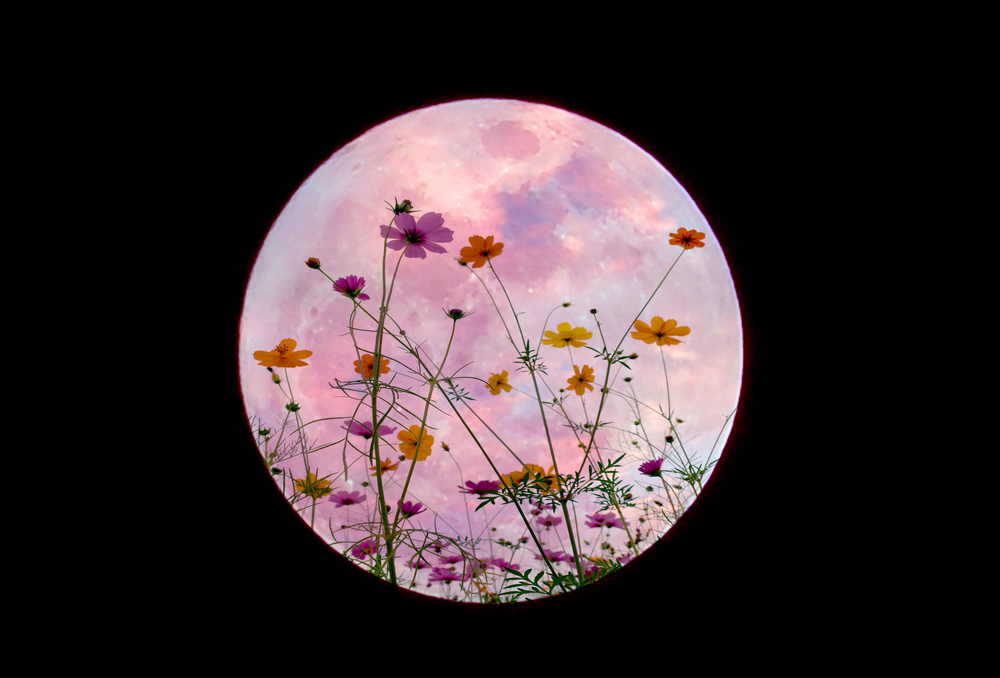 plants on moon