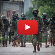 IDF soldiers