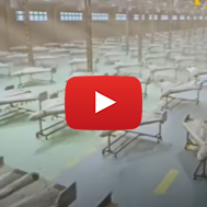 Iranian drones