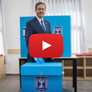 Herzog elections