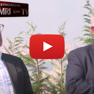Lebanese politician Nawfal Daou and Lebanese economist Tawfiq Kasbar