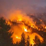 wildfire