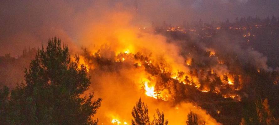 wildfire