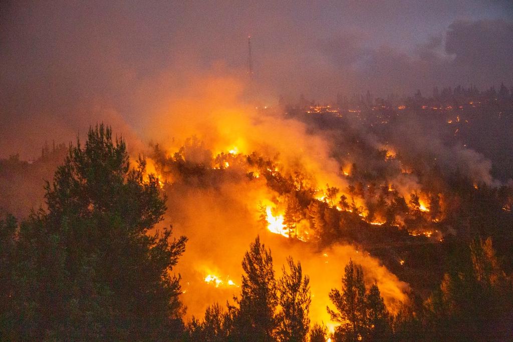 wildfire