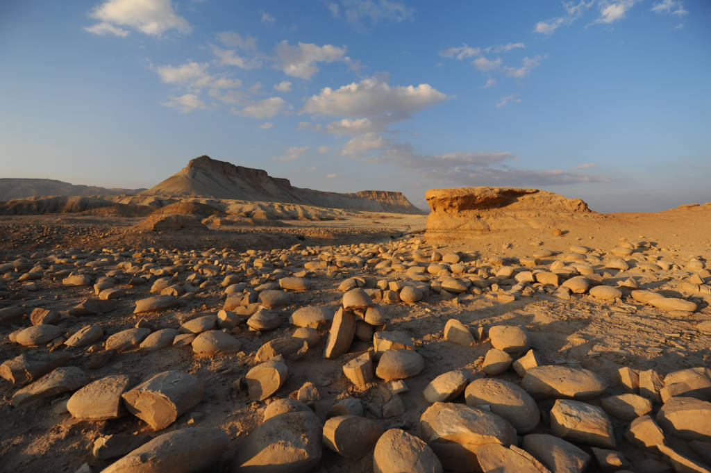 Zin Valley in the Negev desert