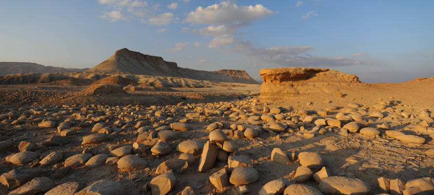 Zin Valley in the Negev desert