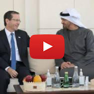 Herzog, UAE