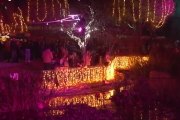 Winter Lights Festival