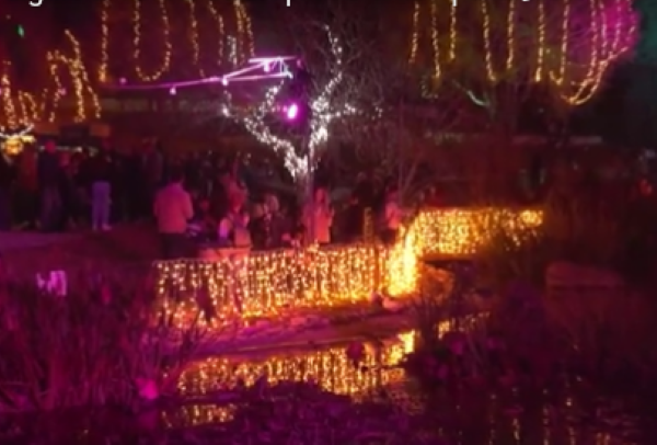 Winter Lights Festival