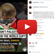 Anti-Israel social media post