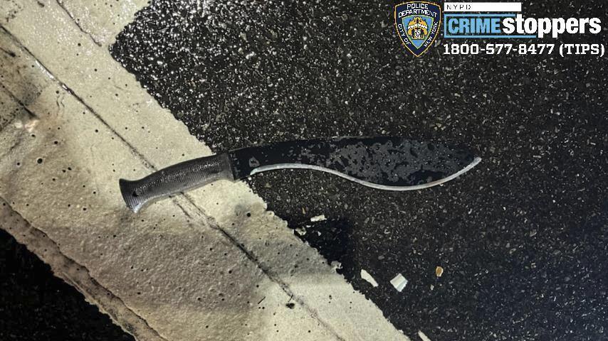 Weapon used to attack three NYPD police officers