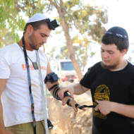 Israeli soldiers lay tefillin