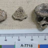 Silver pieces dating back 3,600 years are the earliest evidence of currency being used in trade in the Levant