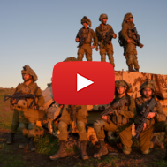 IDF soldiers