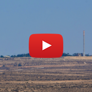 Dimona