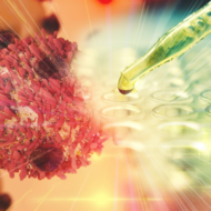 Cancer research
