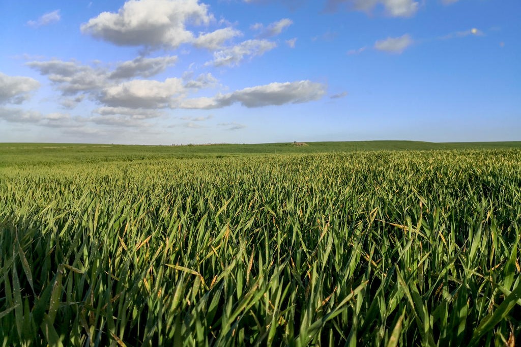 Kibbutz Beeri