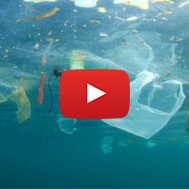 Plastic pollution in ocean