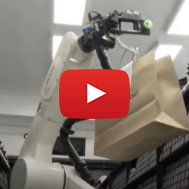 Online shopping Robot