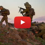 IDF soldiers
