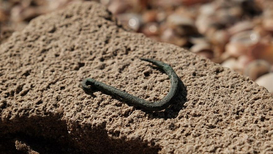 The fish hook
