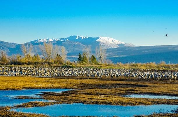 Hula Valley