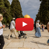 Temple Mount