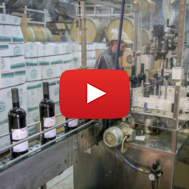 Gush Etzion Winery